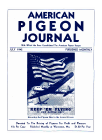 Magazine Cover
